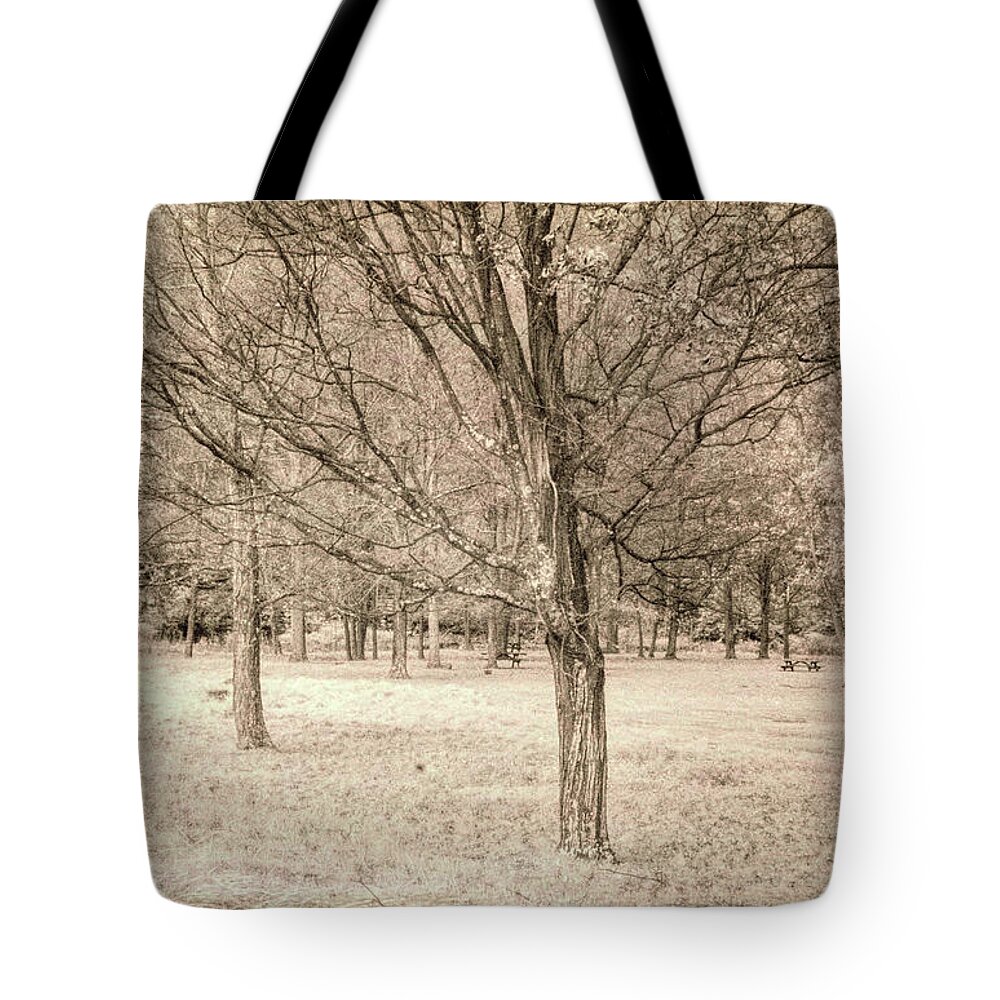 Trees Tote Bag featuring the photograph Trees In A Row by Jim Cook