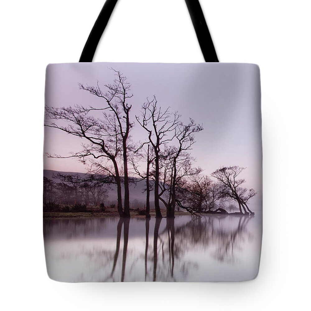 Landscape Tote Bag featuring the photograph Trees in the Mist on Lake Ullswater by Anita Nicholson