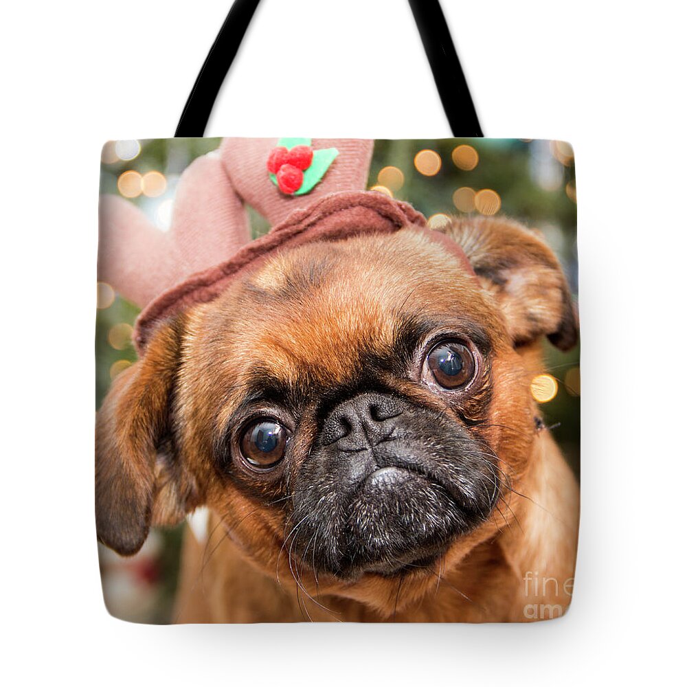 Christmas Tote Bag featuring the photograph Tribute to Max from the Grinch by Jeannette Hunt