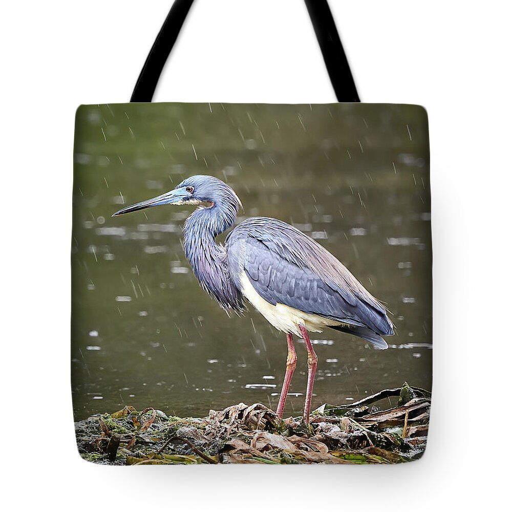 Florida Tote Bag featuring the photograph Rain Dance by Bill Chambers