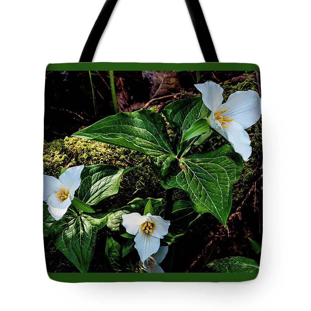 Flowers Tote Bag featuring the photograph Trillium Three by Claude Dalley