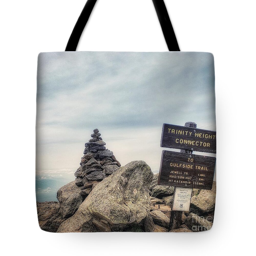 Trinity Heights Connector Tote Bag featuring the photograph Trinity Heights Connector by Mary Capriole