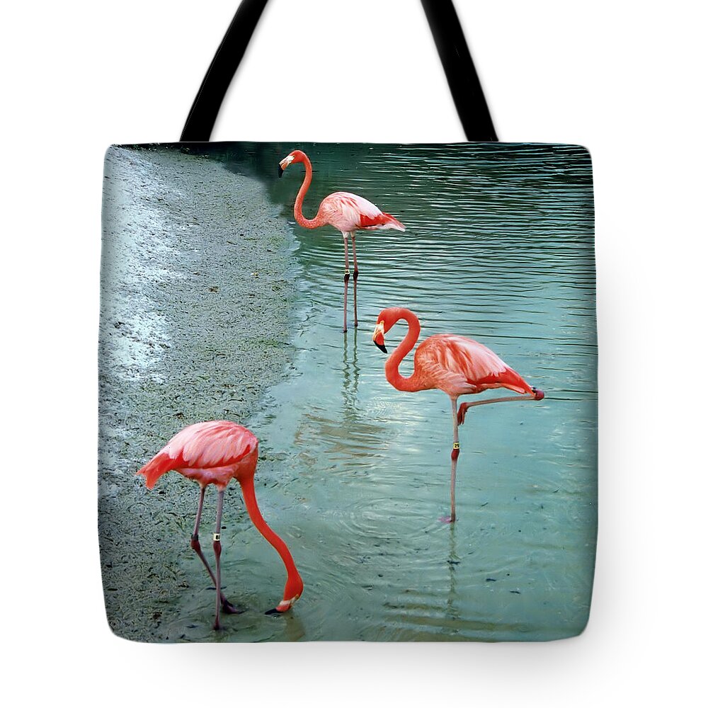 Pink And Blue Tote Bag featuring the photograph Trio by Richard Ortolano