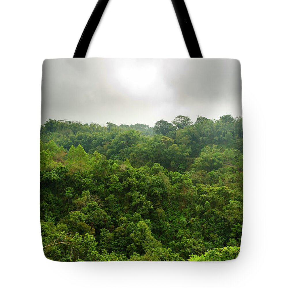 Tropical Rainforest Tote Bag featuring the photograph Tropical Forest Segment by Funky-data