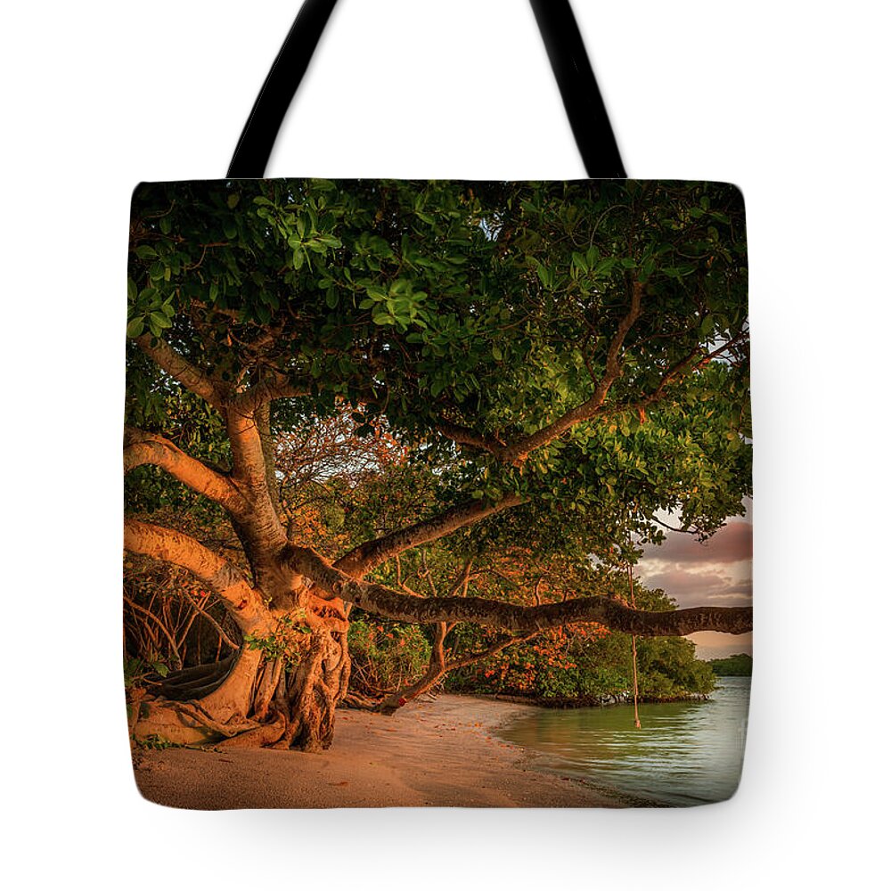 Casey Key Tote Bag featuring the photograph Tropical Tree at North Jetty in Venice, Florida by Liesl Walsh