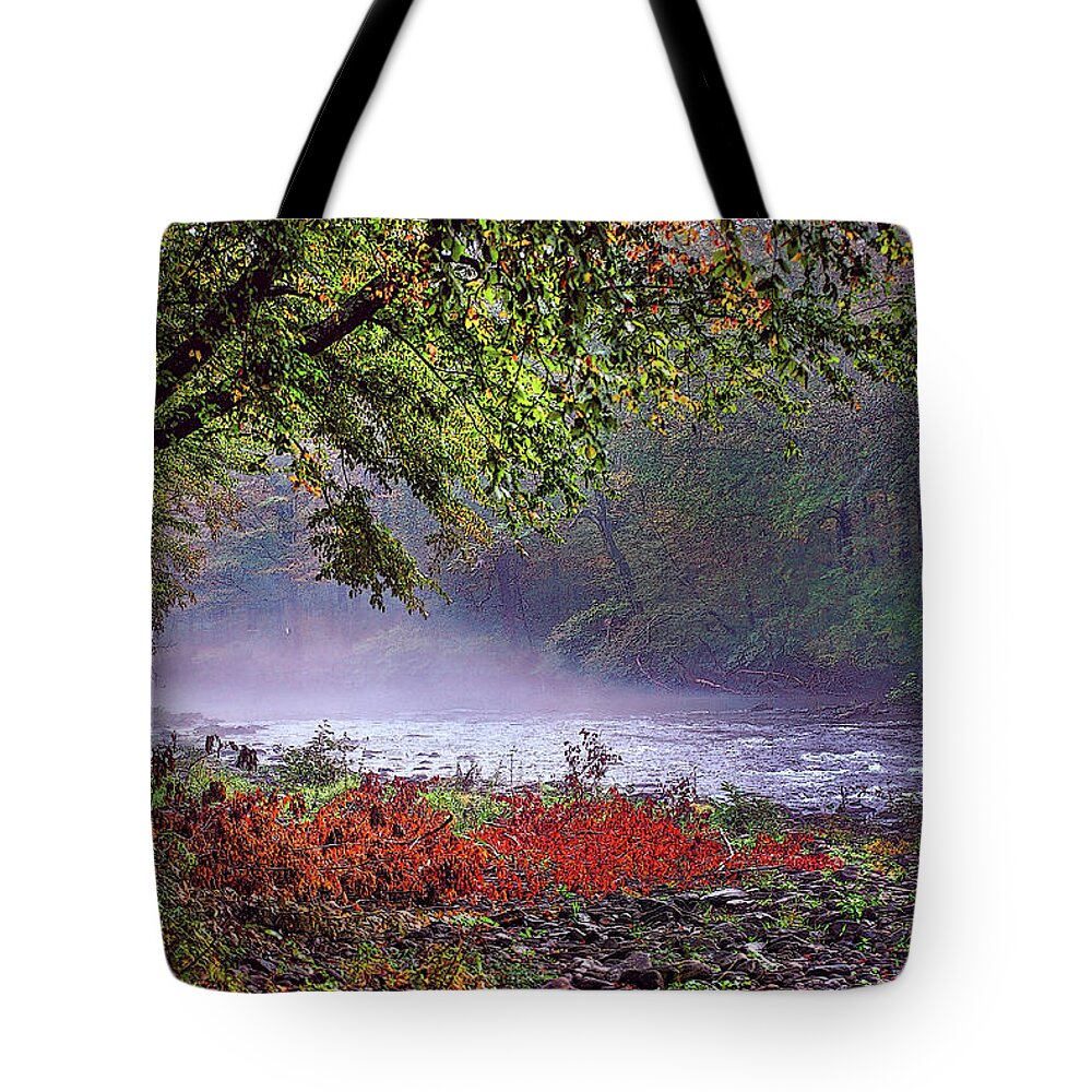 Catskill Mountains Tote Bag featuring the photograph Trout Stream in Autumn by Cordia Murphy
