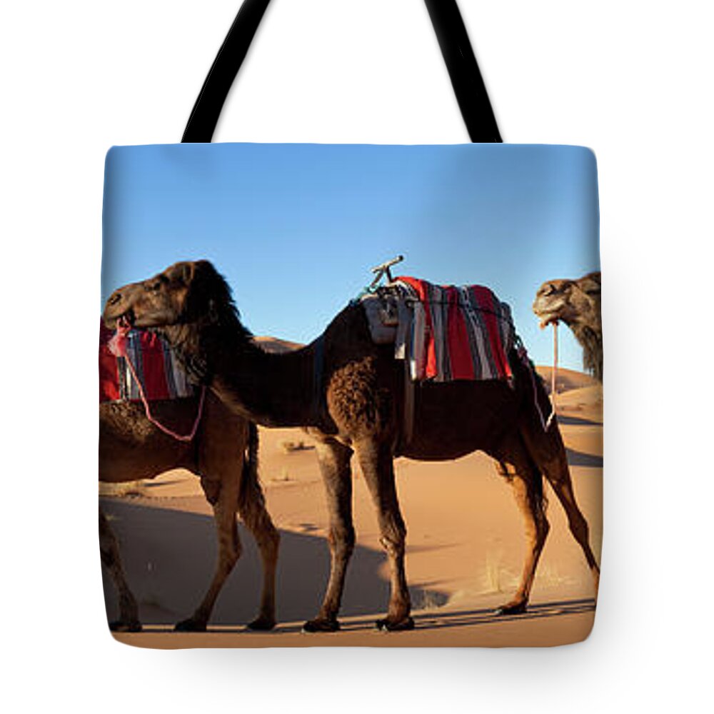Working Animal Tote Bag featuring the photograph Tuareg Man & Camel, Sahara Desert by Peter Adams