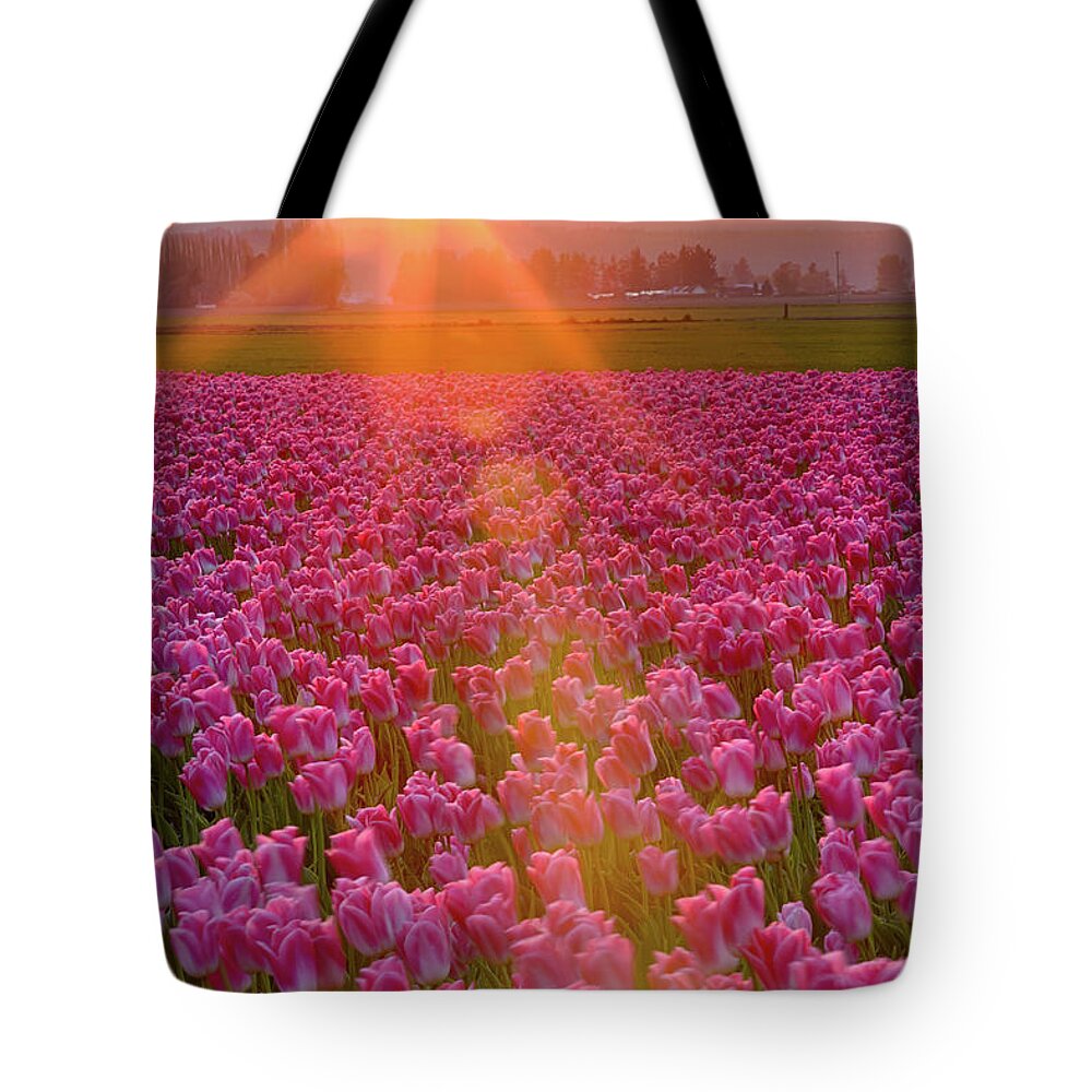 Flower Tote Bag featuring the photograph Tulip Sunset by Briand Sanderson