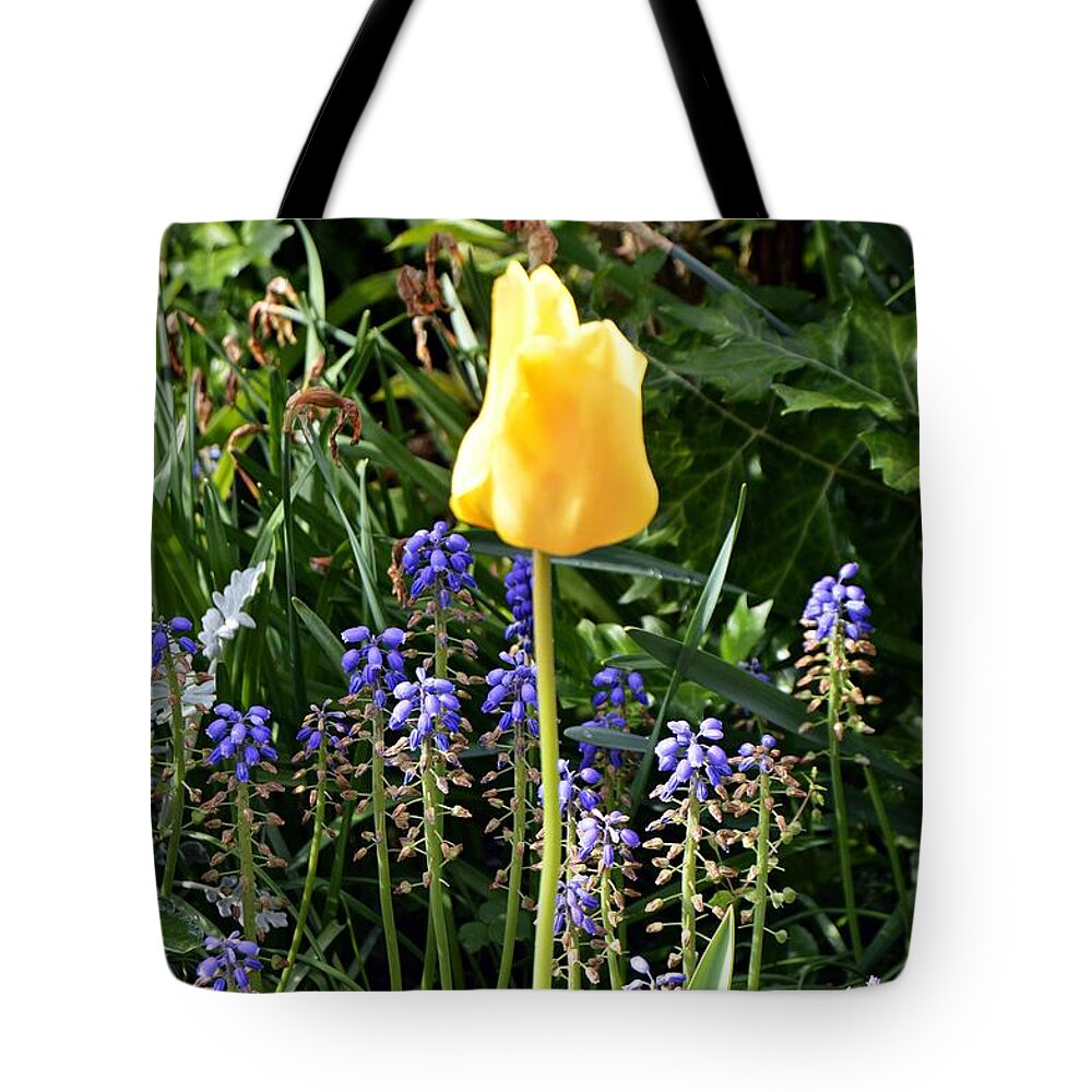 Flower Tote Bag featuring the photograph Tulip by Thomas Schroeder
