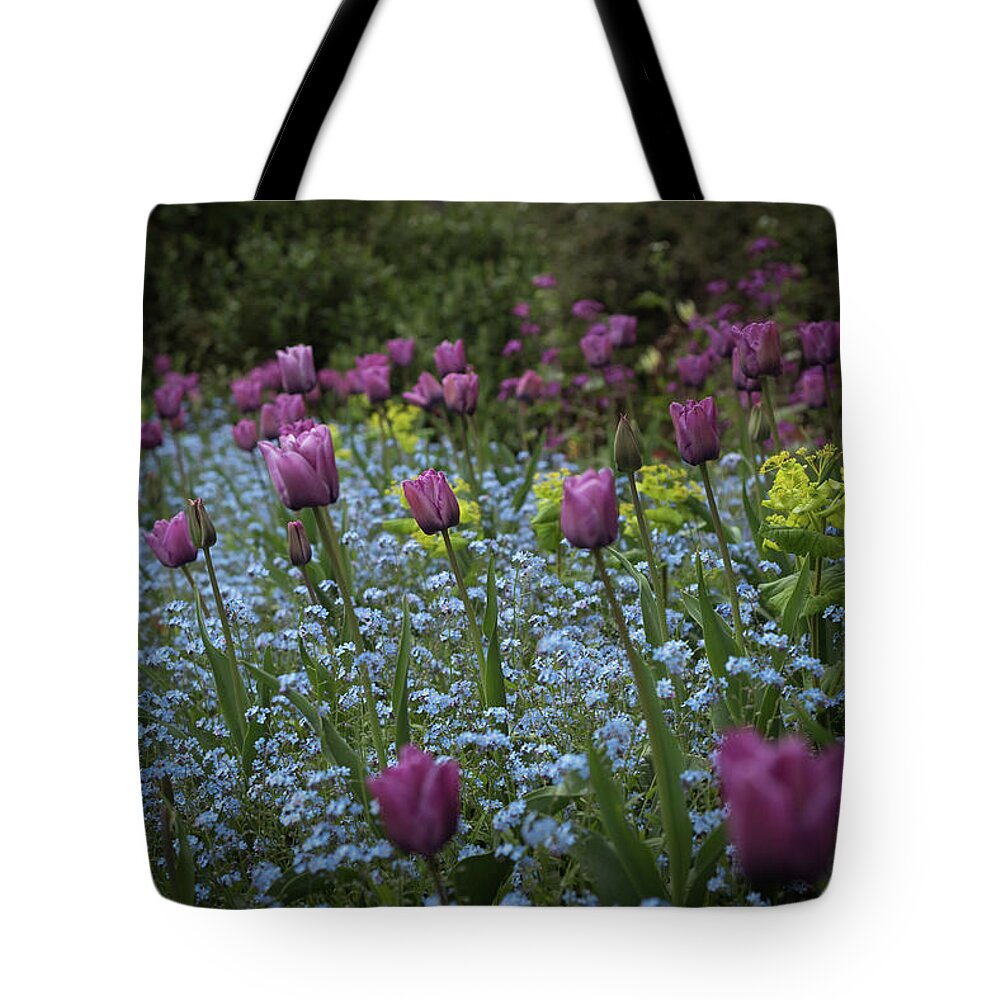 Tulips Tote Bag featuring the photograph Tulips at Great Dixter Gardens by Perry Rodriguez