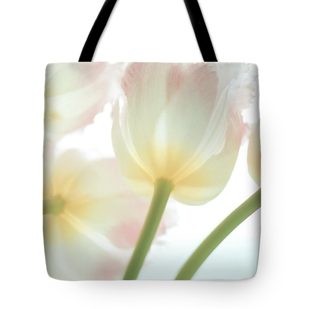 Petal Tote Bag featuring the photograph Tulips Bathed In Light by Angela Fanton
