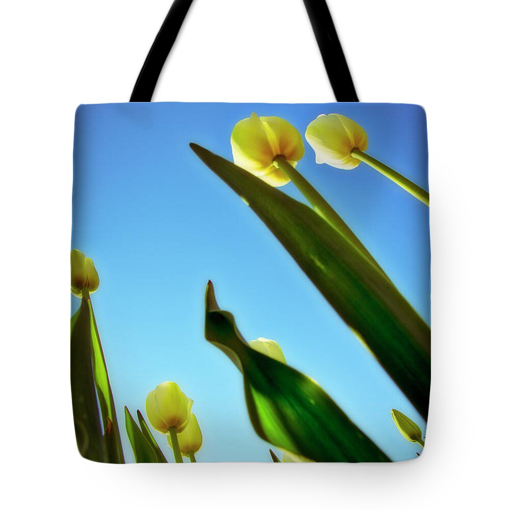 Evie Tote Bag featuring the photograph Tulips Holland Michigan 944 by Evie Carrier