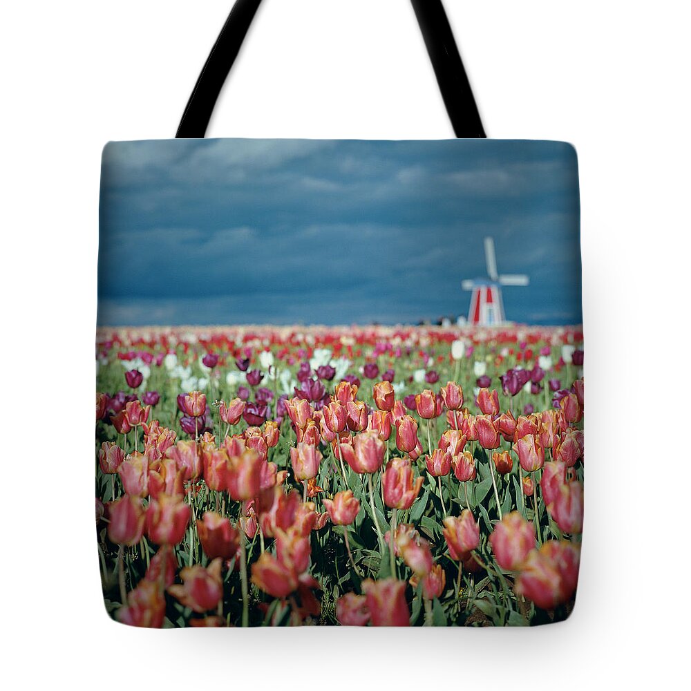 Large Group Of Objects Tote Bag featuring the photograph Tulips Under Stormy Sky by Danielle D. Hughson