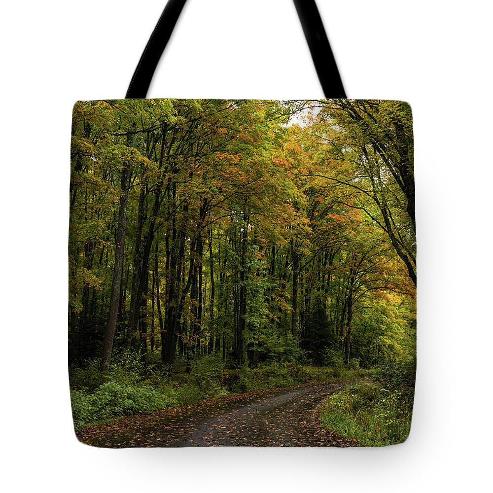 Tree Tote Bag featuring the photograph Tunnel of Trees by Jody Partin