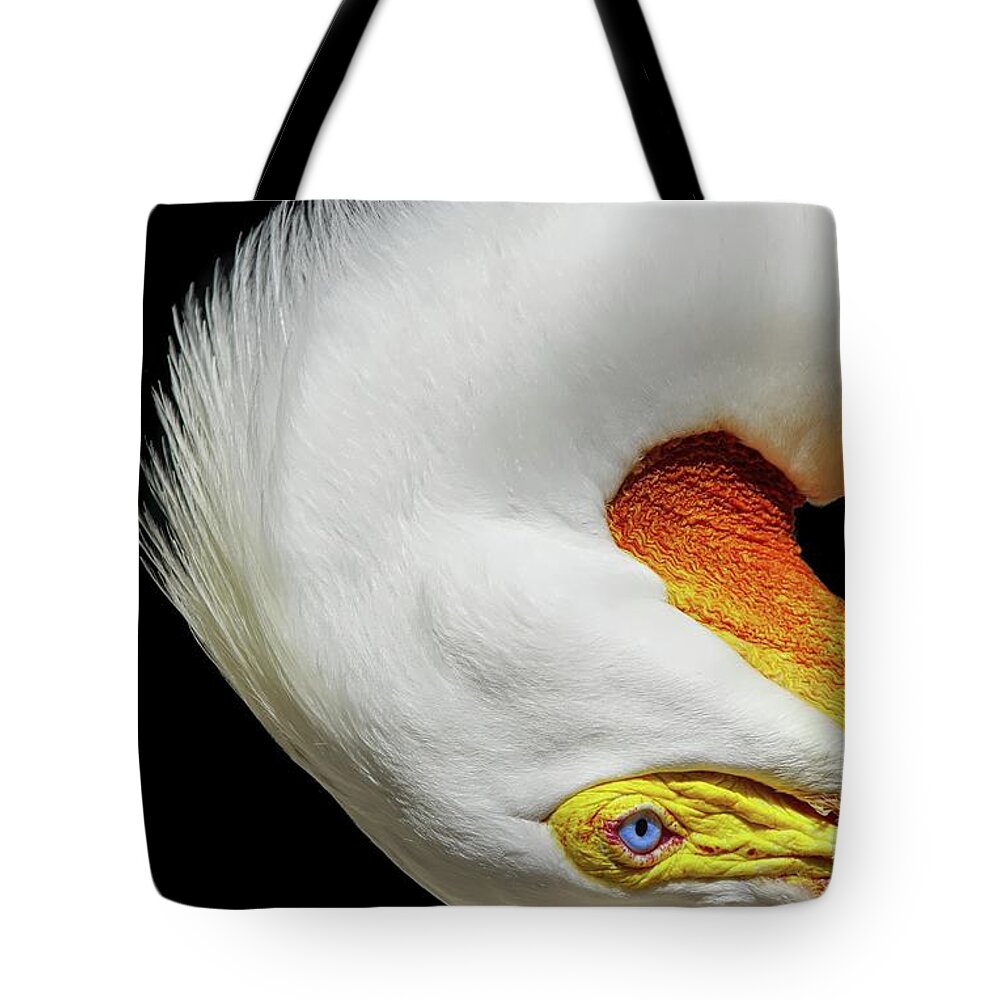 White Pelican Tote Bag featuring the photograph Turn by Stoney Lawrentz