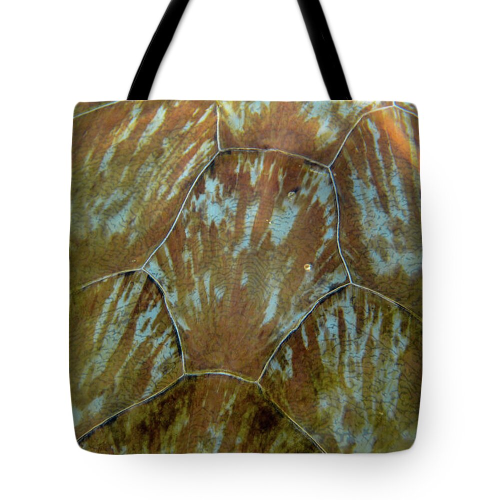 Turtle Tote Bag featuring the photograph Turtle shell detail by Mark Hunter
