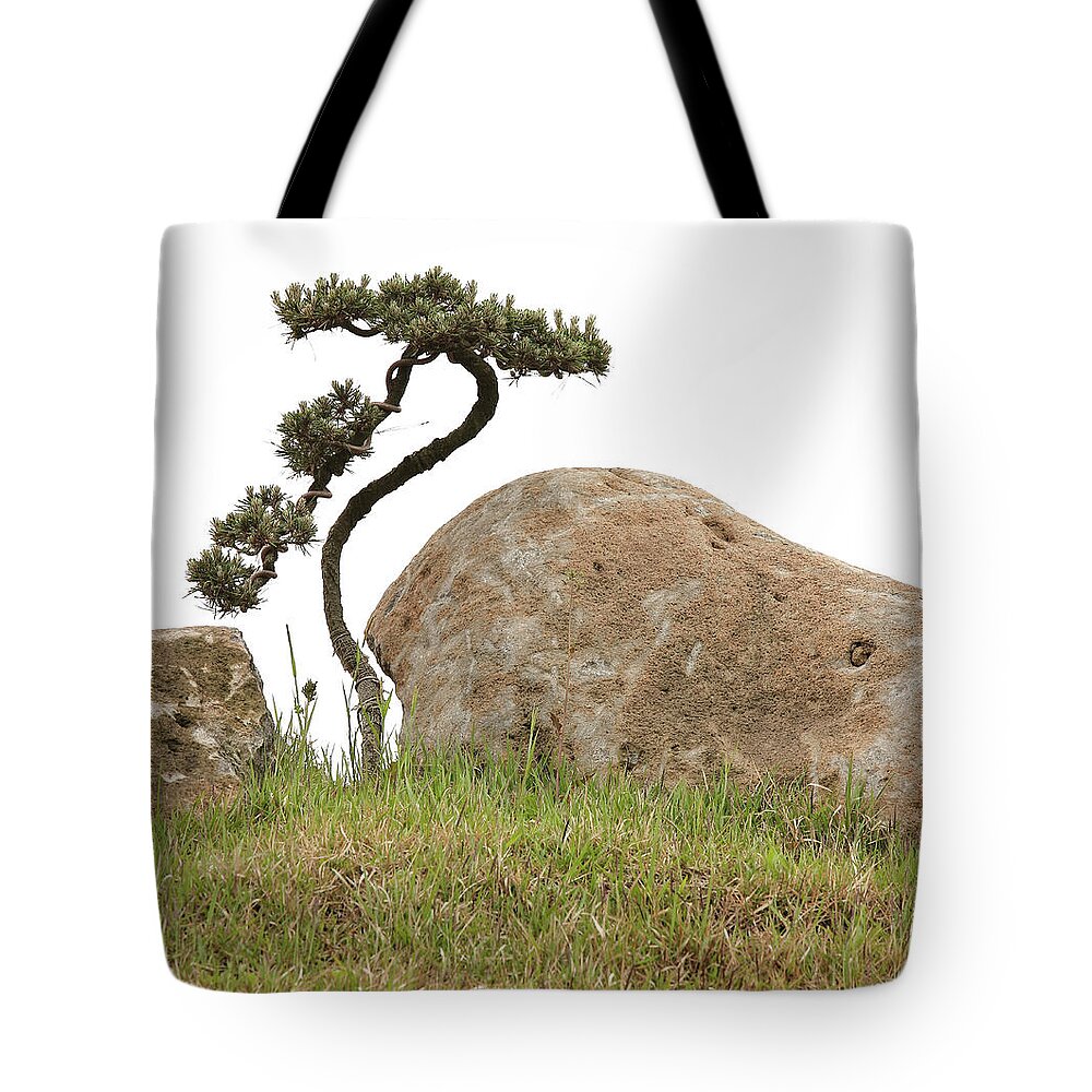 Tranquility Tote Bag featuring the photograph Twisted Bonsai Tree And Rocks by Douglas Macdonald