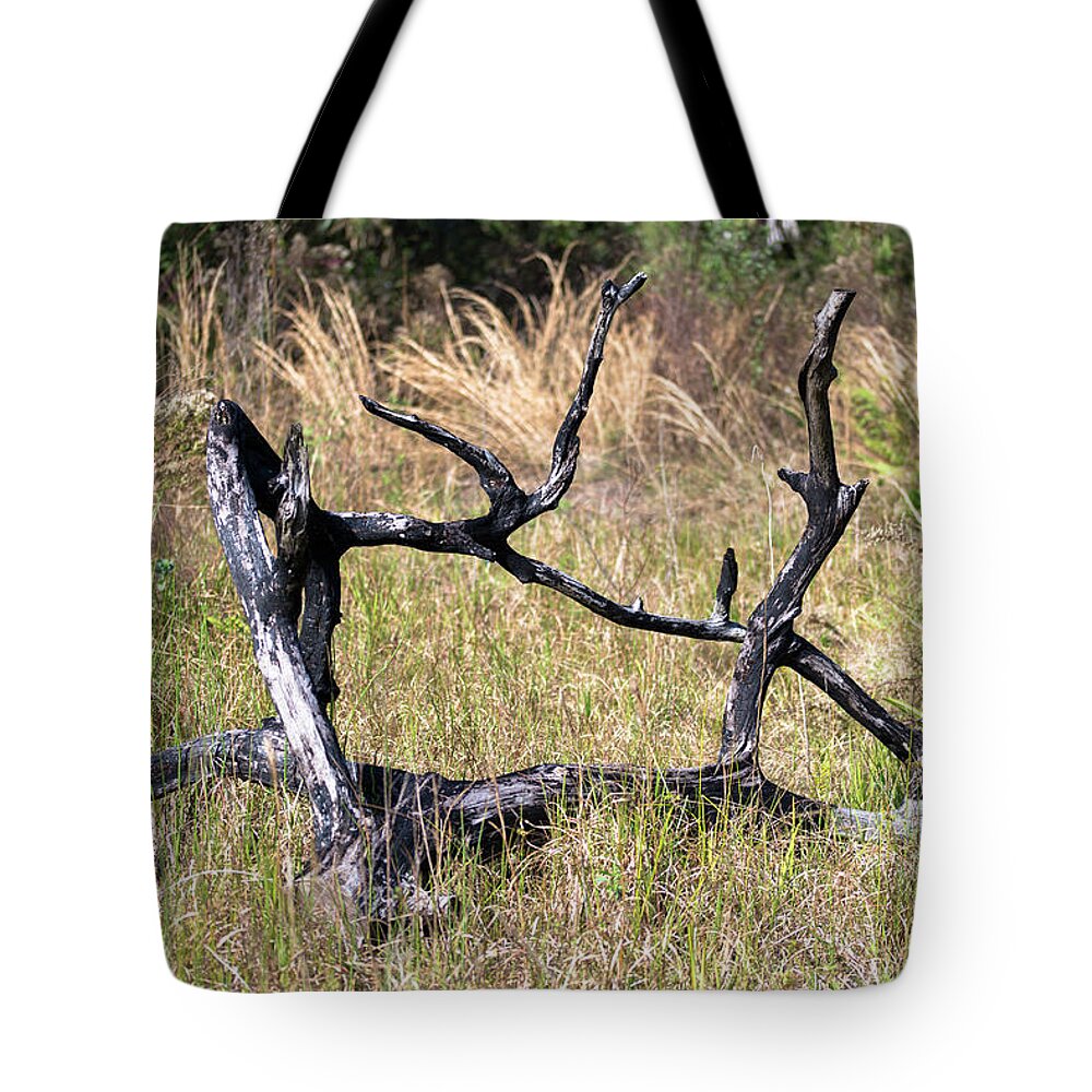 Tree Tote Bag featuring the photograph Twisted Up Tree by Valerie Cason