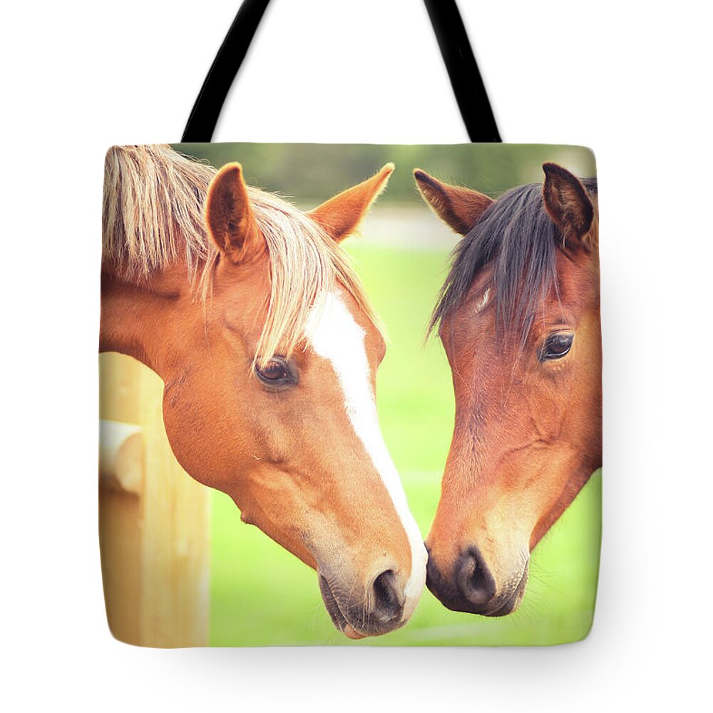 Horse Tote Bag featuring the photograph Two Horse by Sasha Bell