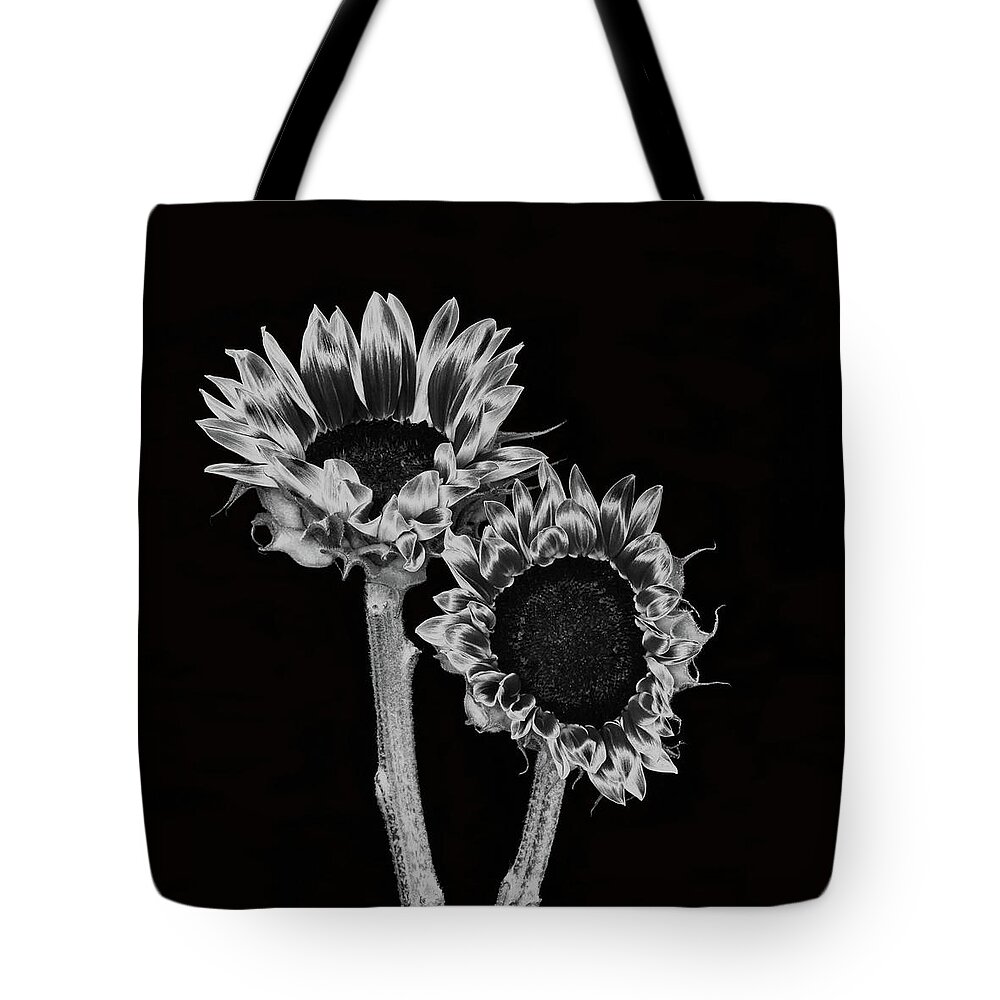 Sunflowers Tote Bag featuring the photograph Two Sunflowers by Cheryl Day