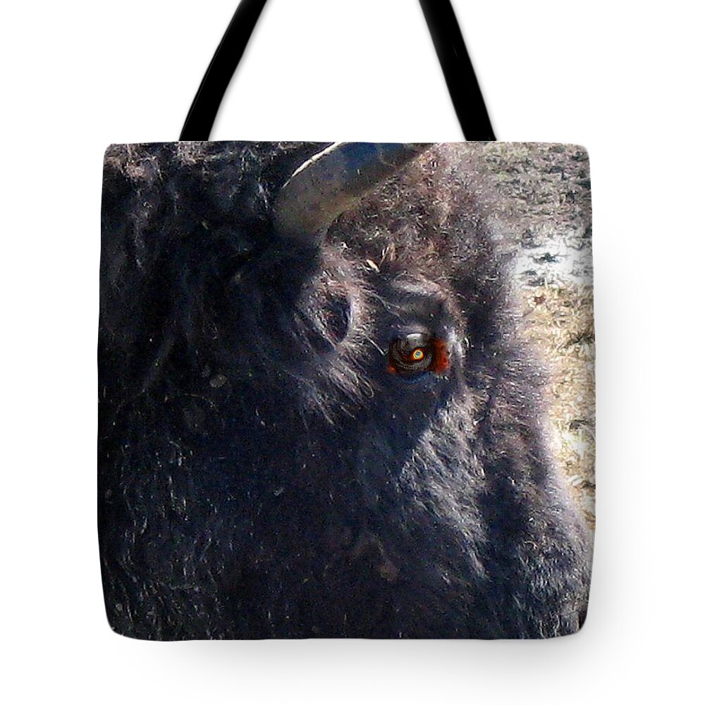 Buffalo Tote Bag featuring the photograph Typhoon Buffalo by Richard Stanford