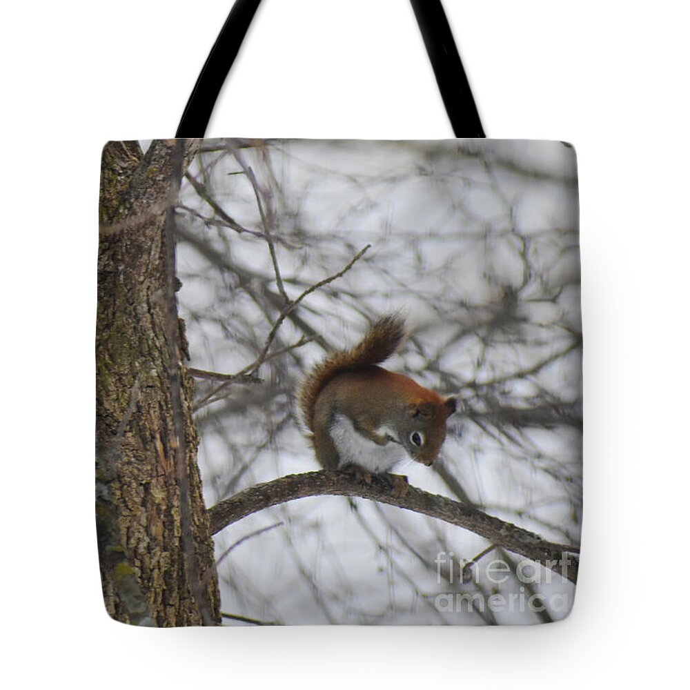 Uhm Tote Bag featuring the painting Uhm by Cheryle Gannaway