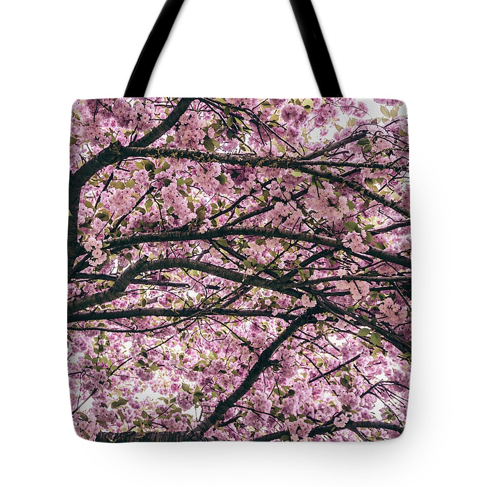 Tree Tote Bag featuring the photograph Under the Cherry Blossom Tree by Colleen Kammerer
