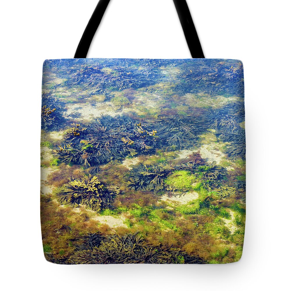 Seaweed Tote Bag featuring the photograph Under The Sea by Tanya C Smith