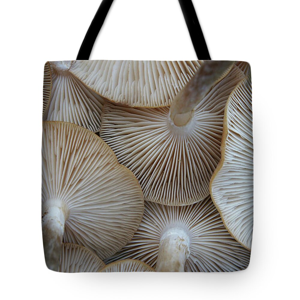 Hatboro Tote Bag featuring the photograph Underside Of Mushrooms by Gregory Adams