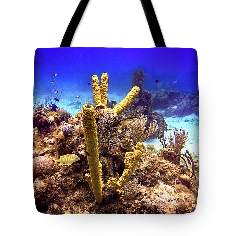 Tourism Tote Bag featuring the photograph Underwater by Laura Hedien