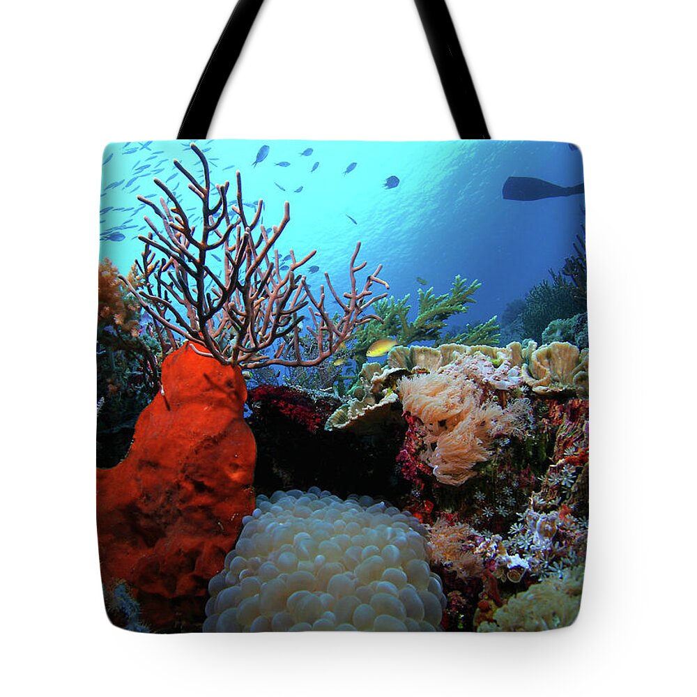 Underwater Tote Bag featuring the photograph Underwater Reef With Coral And Fish by Cdascher