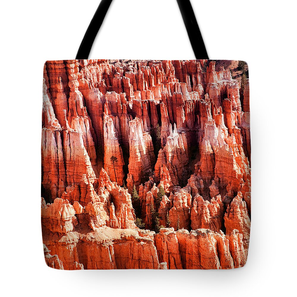 Bryce Canyon Tote Bag featuring the photograph Up Close Hoodoo's Utah by Chuck Kuhn