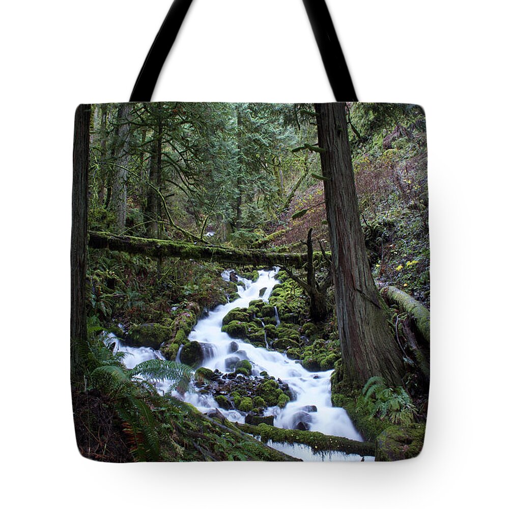 Dylan Punke Tote Bag featuring the photograph Upper Wahkeena by Dylan Punke