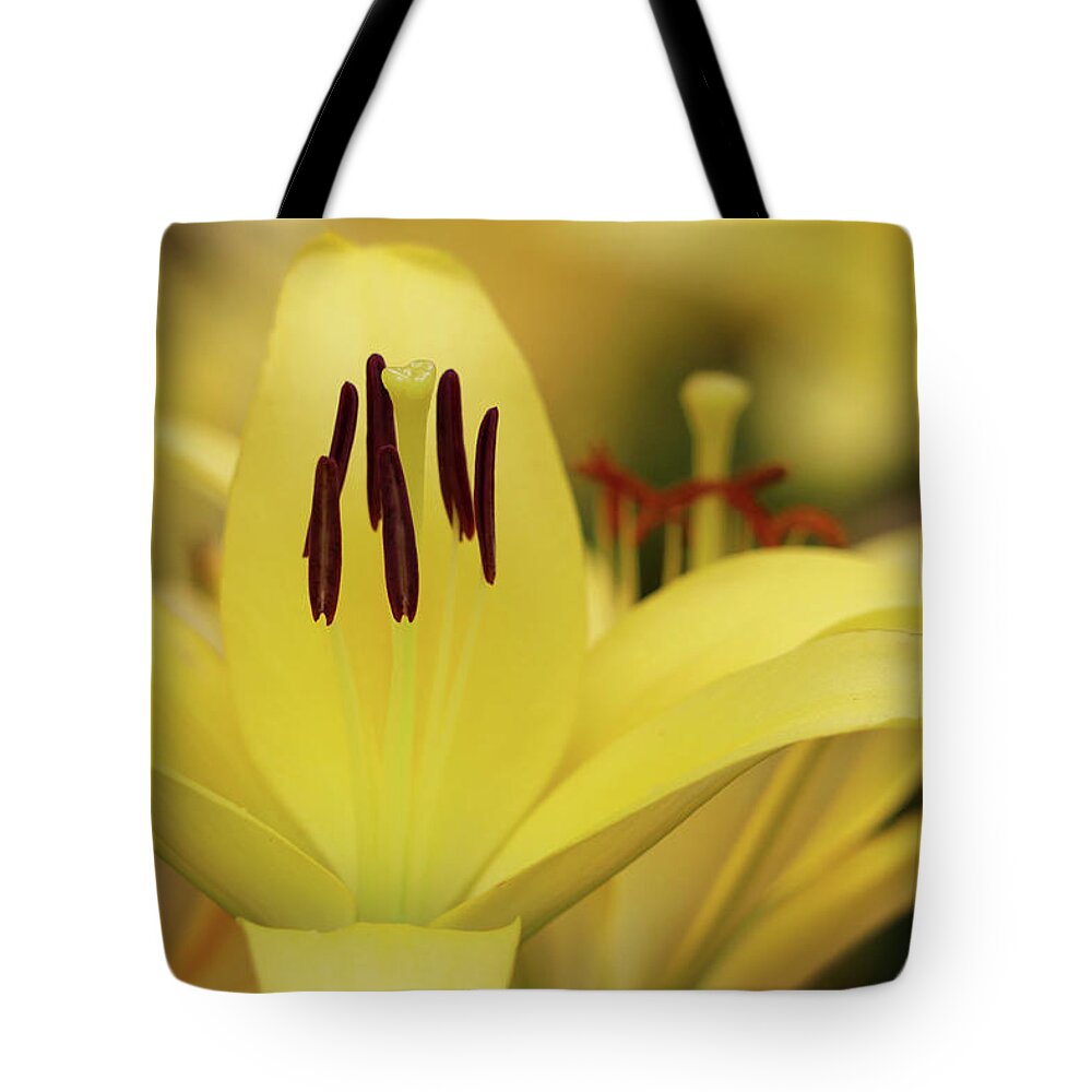 Day Lily Tote Bag featuring the photograph Upstanding Elegance by Mary Anne Delgado