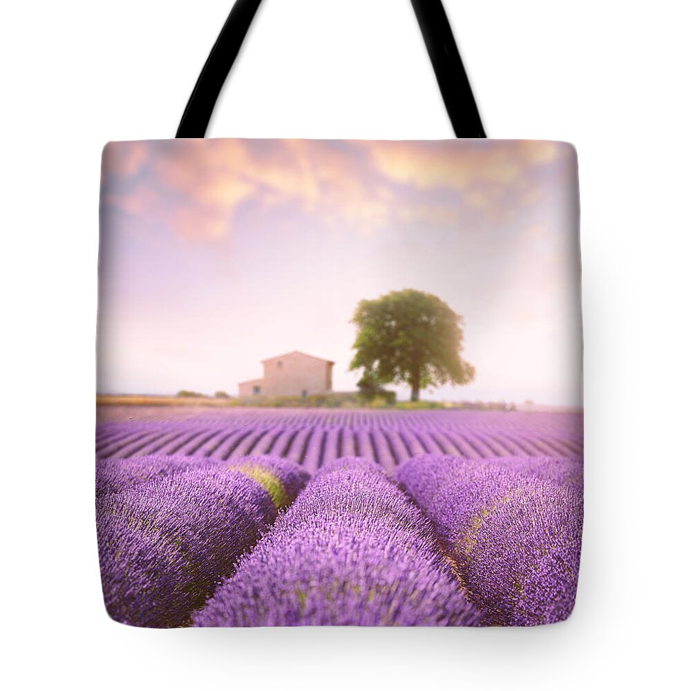 Lavender Field Tote Bag featuring the photograph Valensole Plateau 2 by Giovanni Allievi