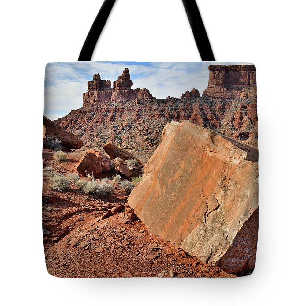 Valley Of The Gods Tote Bag featuring the photograph Valley of the Gods in Southern Utah by Ray Mathis
