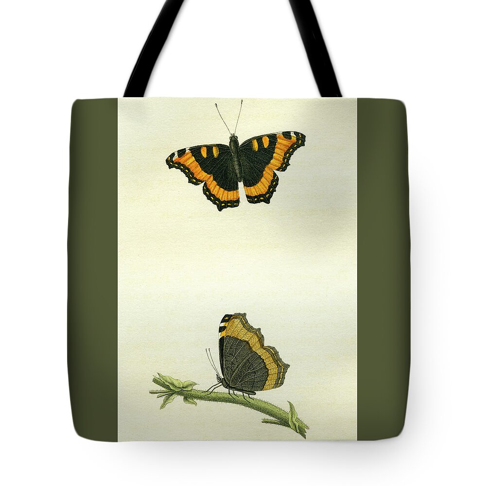 Entomology Tote Bag featuring the mixed media Vanessa furcillata by W W Wood