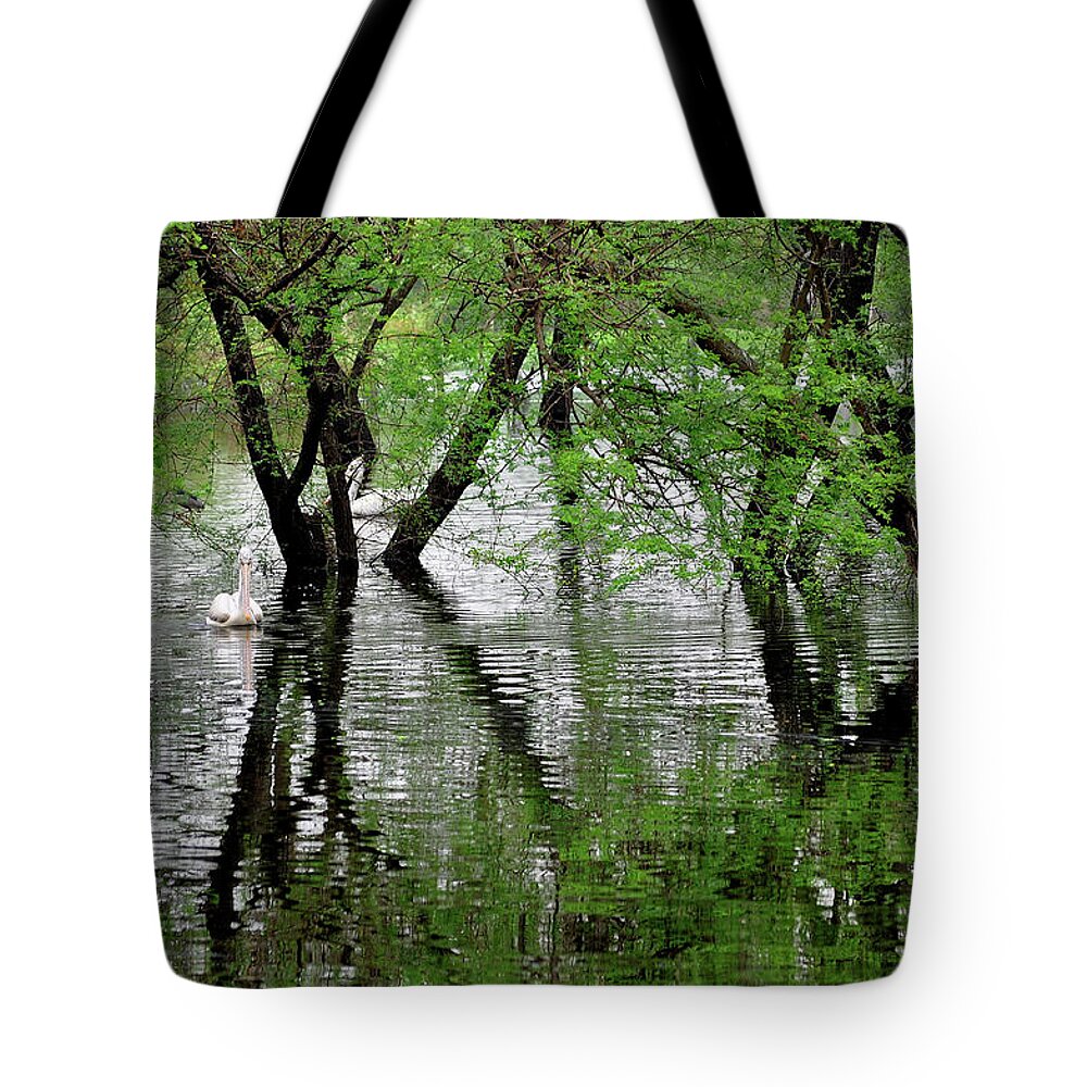 Animal Themes Tote Bag featuring the photograph Vedanthangal Bird Sanctuary, Chennai by Jayk7