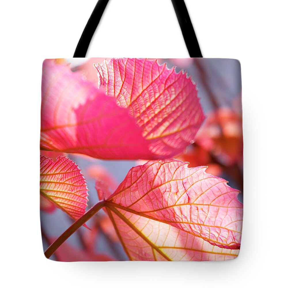 Outdoors Tote Bag featuring the photograph Vein by Photograph Shino Ono (lechat8)