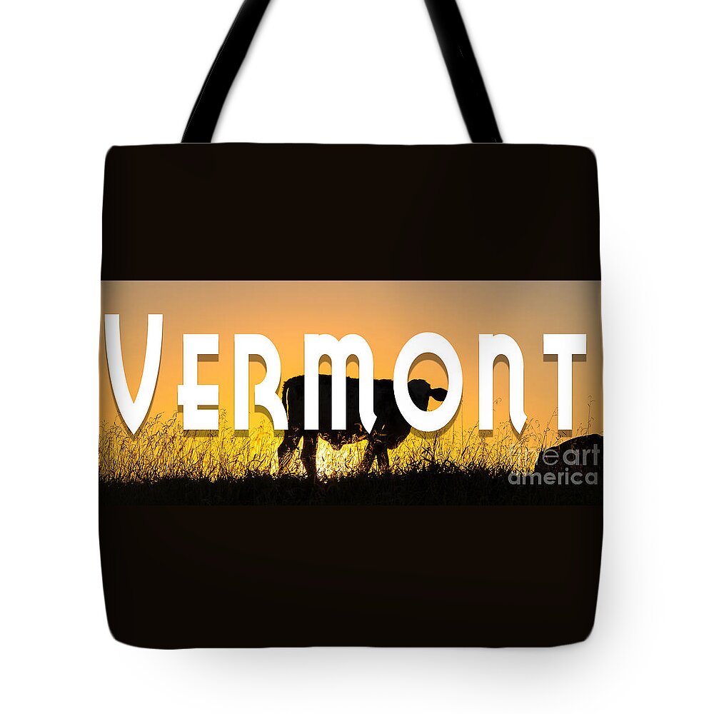 Vermont Tote Bag featuring the photograph Vemont mug by Edward Fielding