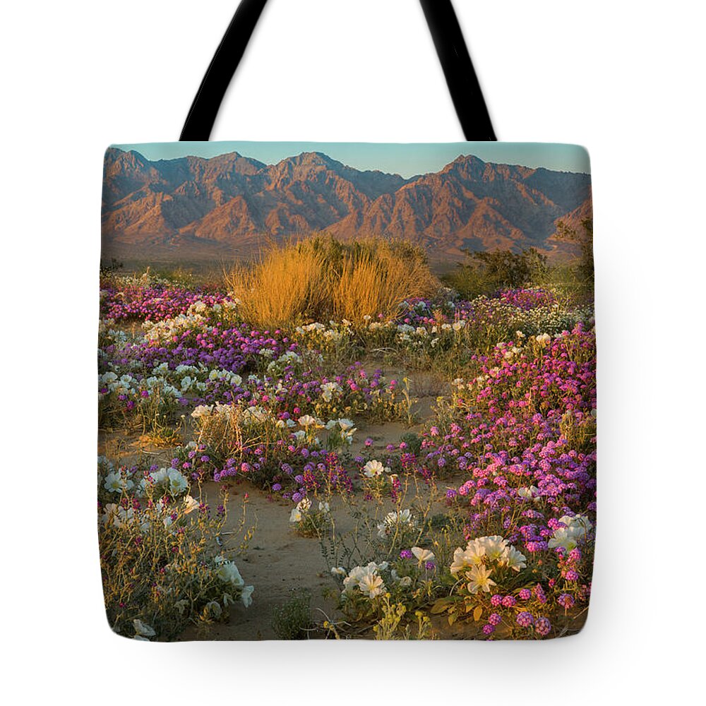 Jeff Foott Tote Bag featuring the photograph Verbena And Primrose In The Mojave by Jeff Foott