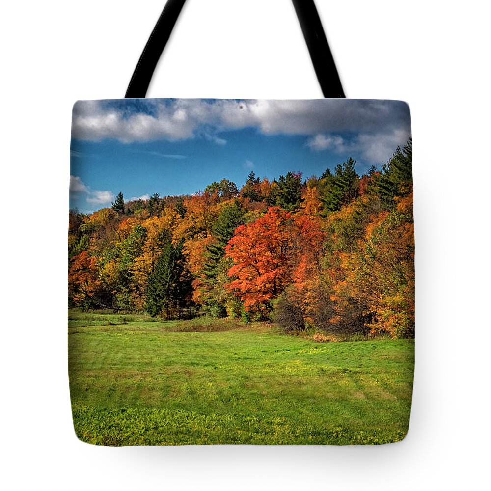 Hayward Garden Putney Vermont Tote Bag featuring the photograph Vermont Autumn Colors by Tom Singleton