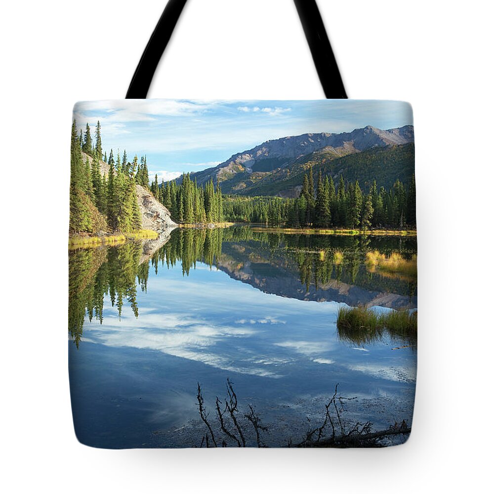 Outdoors Tote Bag featuring the photograph Very Still Horseshoe Lake At Denali by Dhughes9