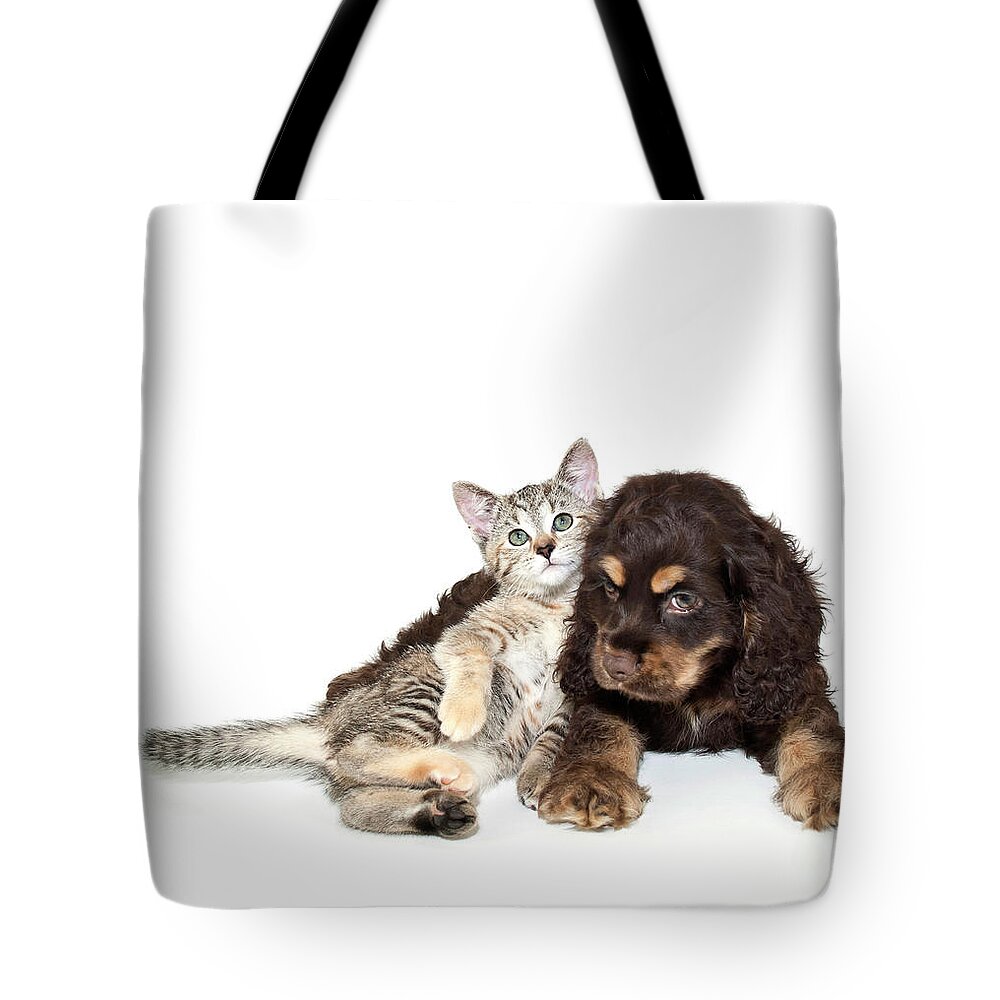 Pets Tote Bag featuring the photograph Very Sweet Kitten Lying On Puppy by Stockimage