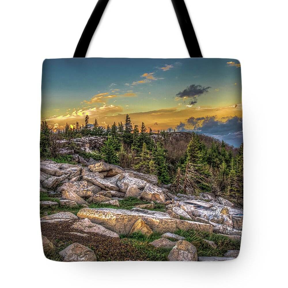 Landscapes Tote Bag featuring the photograph View from Dolly Sods 4714 by Donald Brown