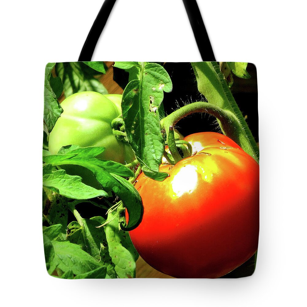 Tomatoes Tote Bag featuring the photograph Vine Ripened Jersey Tomatoes by Linda Stern