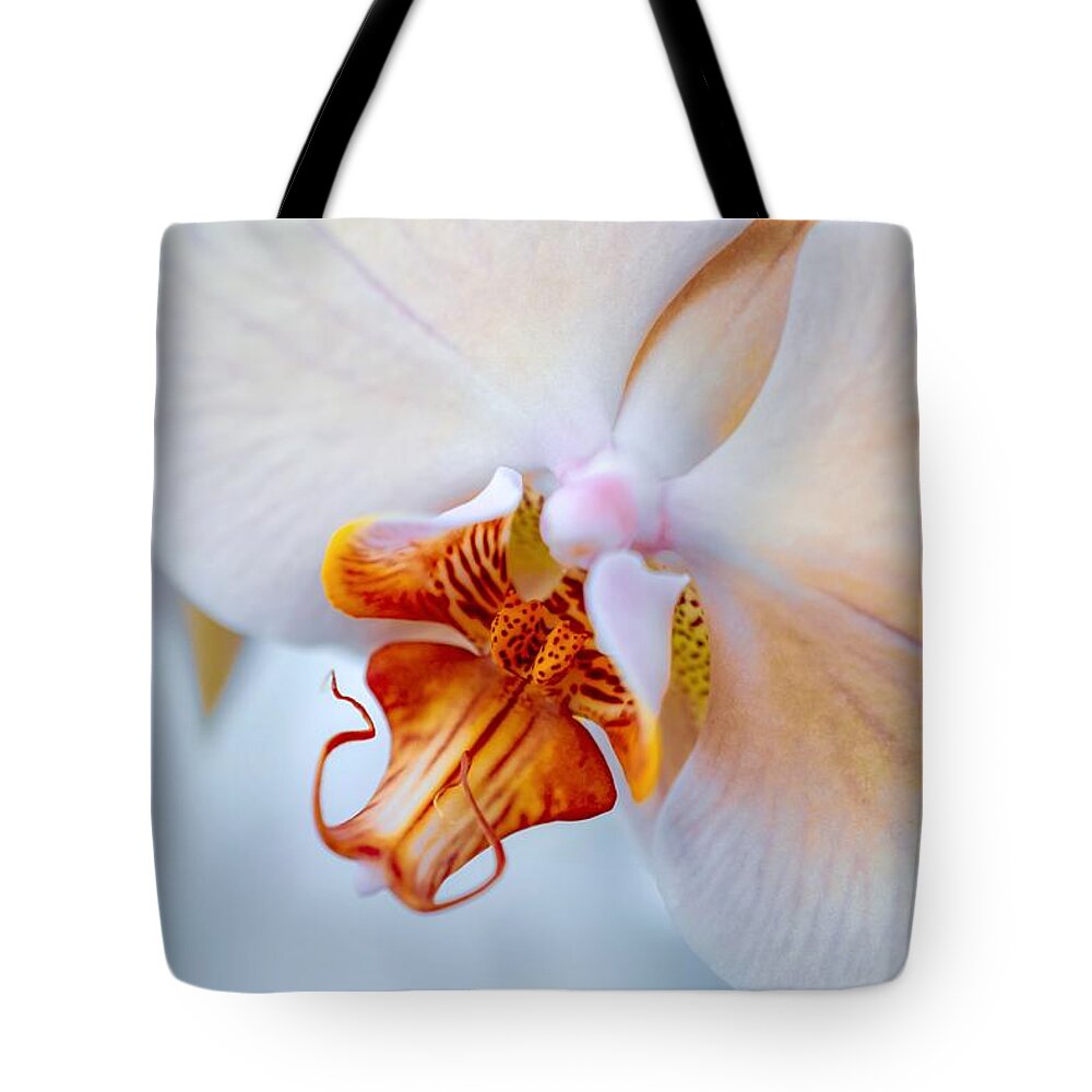 Orchid Tote Bag featuring the photograph Viserion by Shannon Kelly