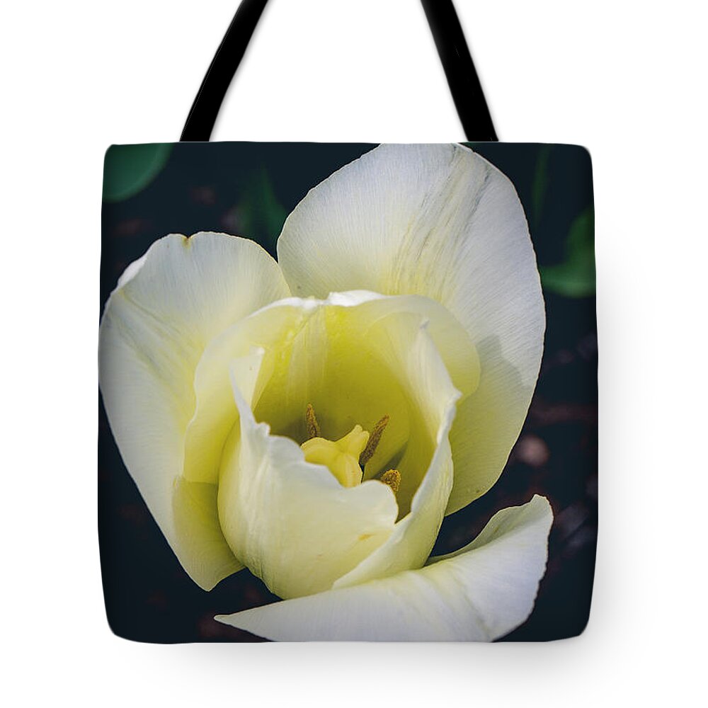 America Tote Bag featuring the photograph Wabi-sabi by ProPeak Photography