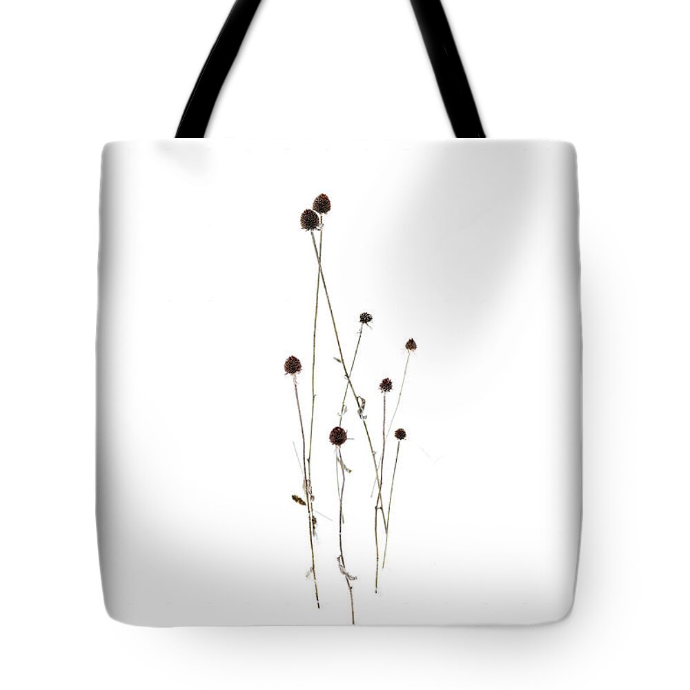 Snow Tote Bag featuring the photograph Waiting for Spring by Barry Wills