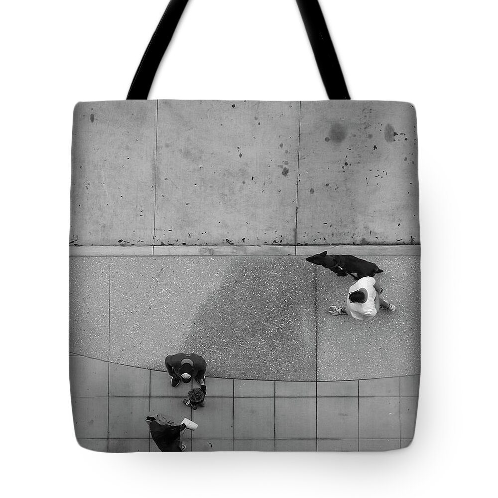 Dog Tote Bag featuring the photograph Walking the dog by Robert Wilder Jr